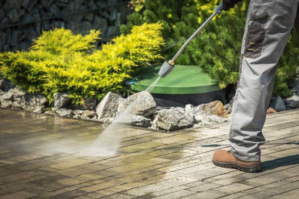 Best Driveway Pressure Washing  in Eslon, CA